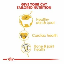 Royal Canin Ragdoll 2kg 8 Royal Canin Ragdoll 2kg -Dog Food shop royal canin cat adult ragdoll dry kibble special diet