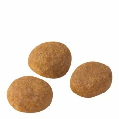 Royal Canin Exigent 33 Aromatic Attraction 2kg 9 Royal Canin Exigent 33 Aromatic Attraction 2kg -Dog Food shop royal canin cat aroma dry food kibbles size 1