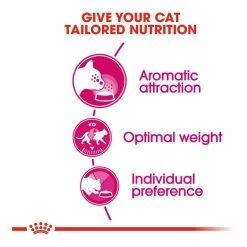 Royal Canin Exigent 33 Aromatic Attraction 4kg -Dog Food shop royal canin cat aroma dry food kibbles special diet 2