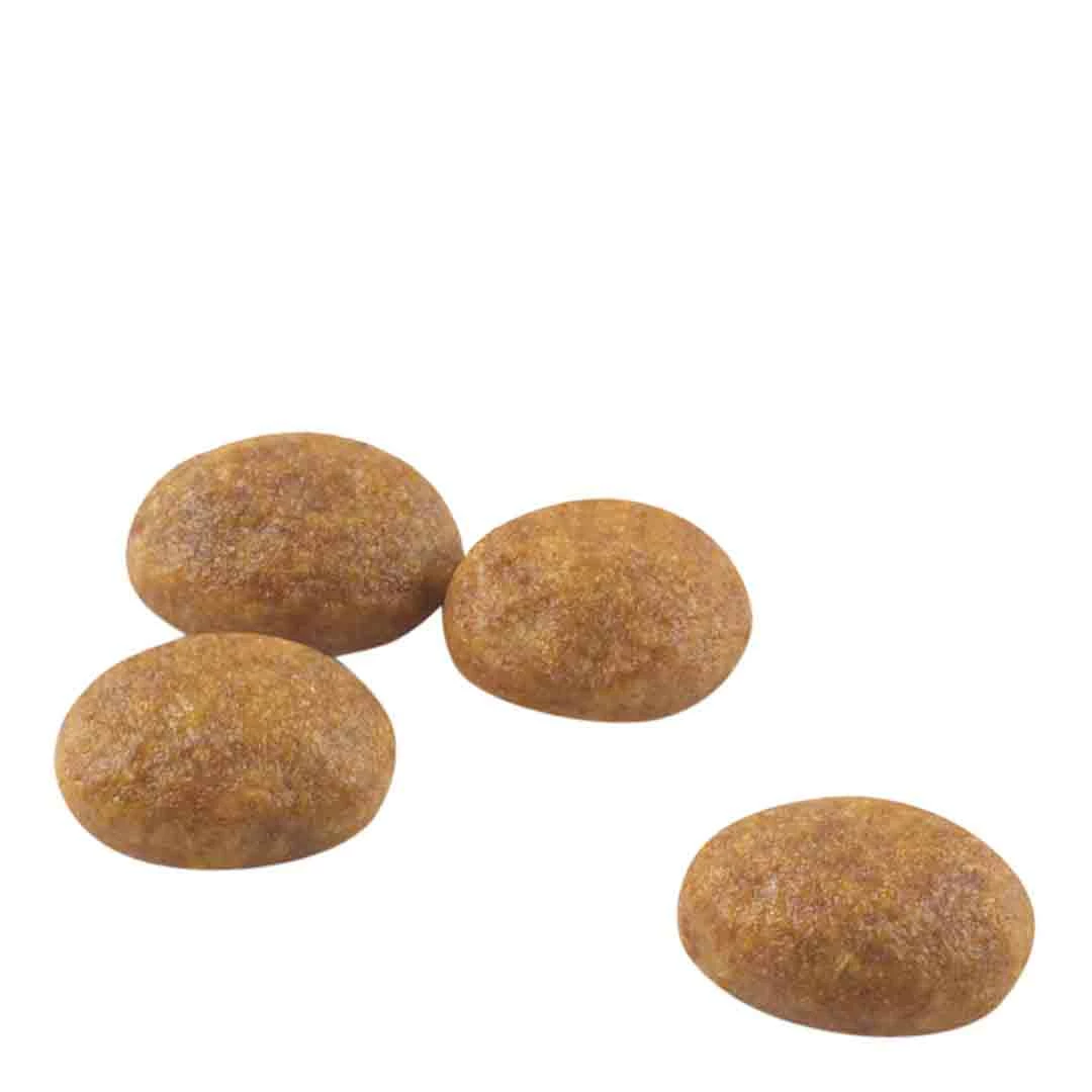 Royal Canin Outdoor 30 4kg 3 Royal Canin Outdoor 30 4kg - Image 3