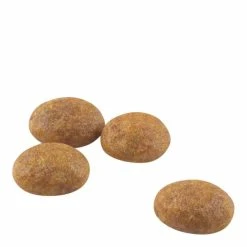 Royal Canin Outdoor 30 10kg -Dog Food shop royal canin cat ative life outdoor dry food kibbles size 2