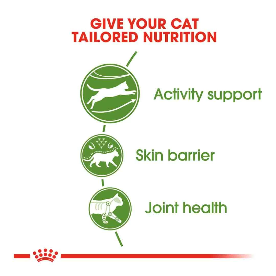 Royal Canin Outdoor 30 4kg 2 Royal Canin Outdoor 30 4kg - Image 2