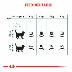 Royal Canin Intense Hairball 34 4kg -Dog Food shop royal canin cat hair ball dry food kibbles feeding guide 1