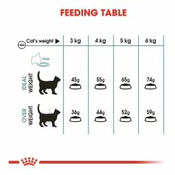 Royal Canin Intense Hairball 34 2kg 11 Royal Canin Intense Hairball 34 2kg -Dog Food shop royal canin cat hairball dry food kibbles feeding guide