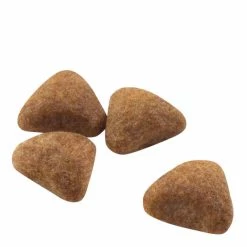 Royal Canin Indoor 27 2kg -Dog Food shop royal canin cat home life indoor dry food kibbles size 1