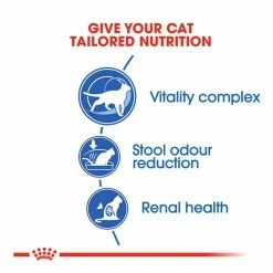Royal Canin Indoor 7+ 1.5kg -Dog Food shop royal canin cat home life indoor dry kibble special diet