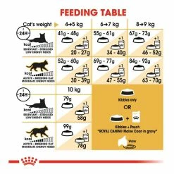Royal Canin Maine Coon 31 2kg -Dog Food shop royal canin cat maine coon dry food kibbles feeding guide 1