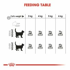 Royal Canin Oral Sensitive 30 1.5kg 11 Royal Canin Oral Sensitive 30 1.5kg -Dog Food shop royal canin cat oral dry food kibbles feeding guide