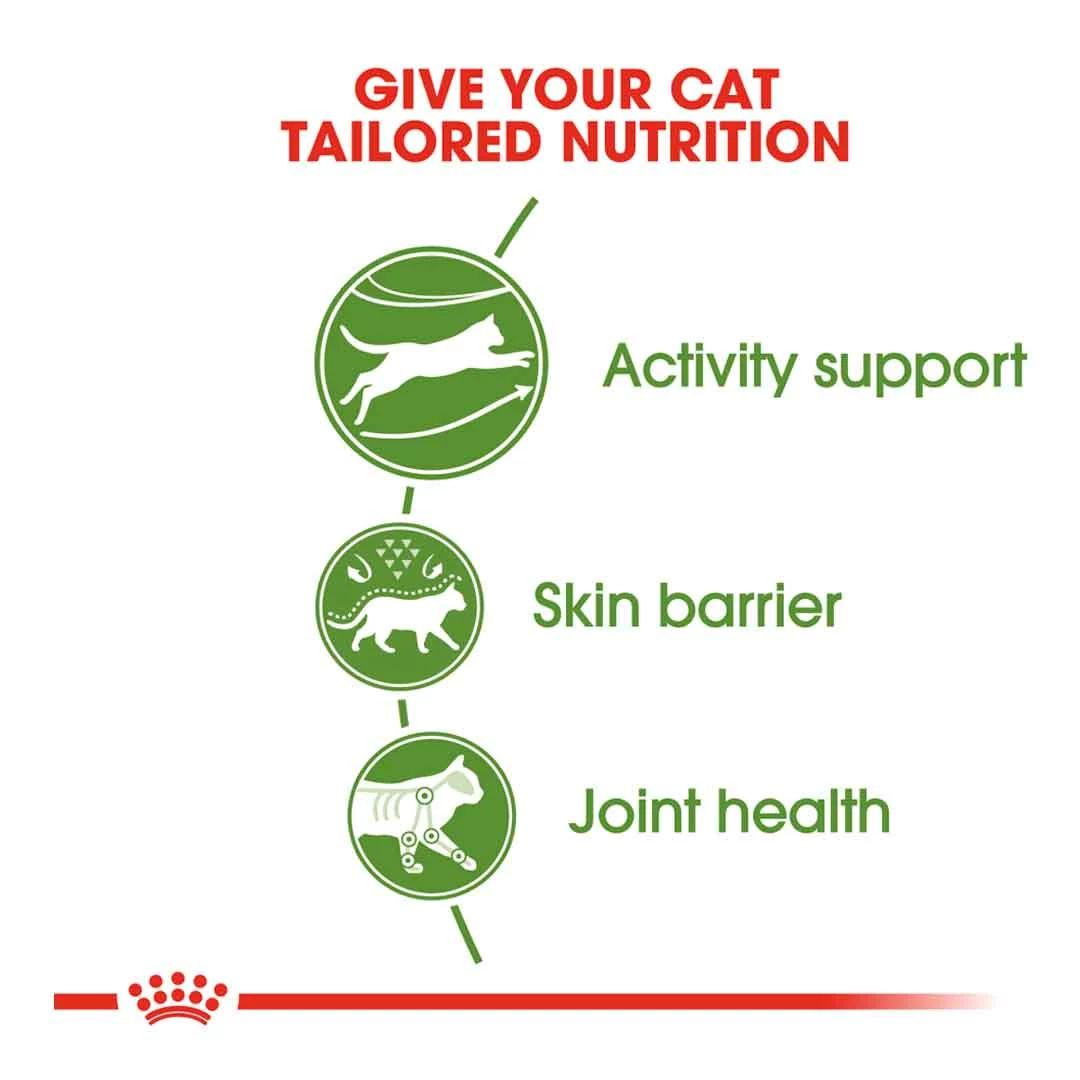 Royal Canin Outdoor 30 2kg 2 Royal Canin Outdoor 30 2kg - Image 2