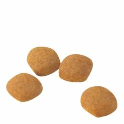 Royal Canin Exigent 42 Protein Preference 2kg -Dog Food shop royal canin cat protien dry food kibbles size