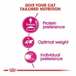 Royal Canin Exigent 42 Protein Preference 2kg -Dog Food shop royal canin cat protien dry food kibbles special diet