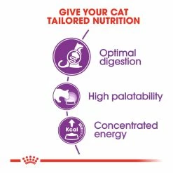 Royal Canin Sensible 33 2kg -Dog Food shop royal canin cat regular sensible dry food kibbles special diet