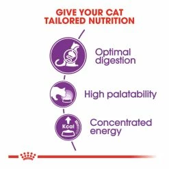 Royal Canin Sensible 33 4kg -Dog Food shop royal canin cat regular sensible dry food kibbles special diet 1
