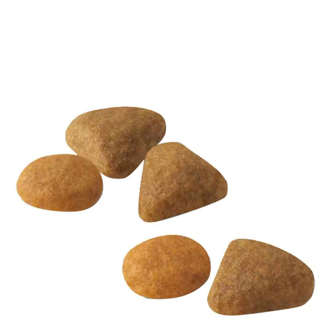 Royal Canin Exigent Savour Sensation 4kg 3 Royal Canin Exigent Savour Sensation 4kg - Image 3