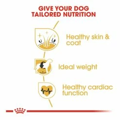 Royal Canin Cocker Adult 3kg 8 Royal Canin Cocker Adult 3kg -Dog Food shop royal canin cocker dry food kibbles special diet