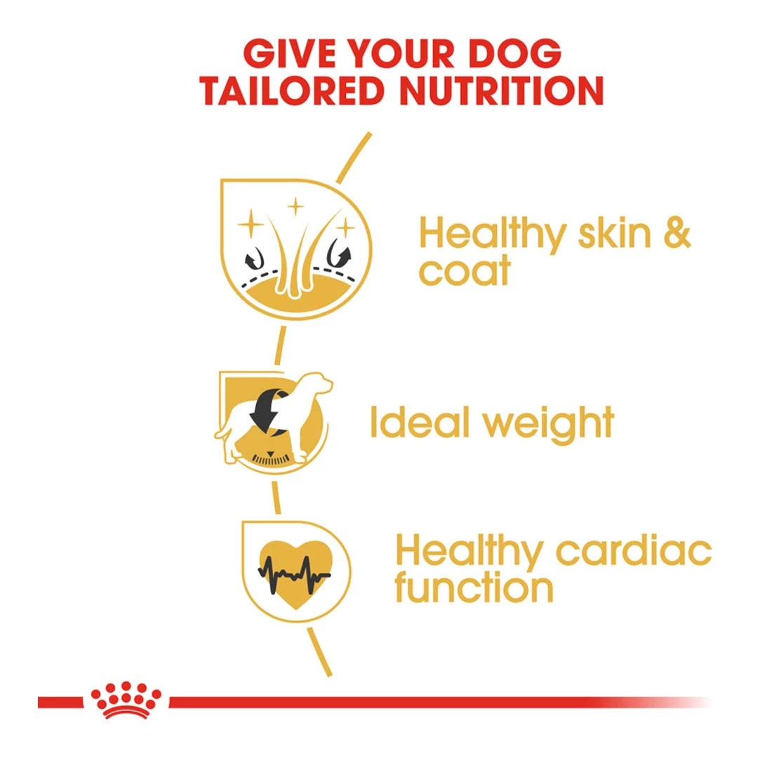 Royal Canin Cocker Adult 3kg 3 Royal Canin Cocker Adult 3kg - Image 3