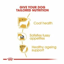 Royal Canin Yorkshire Terrier Adult 1.5kg -Dog Food shop royal canin dog adult yorkshire 20terrier tailored made dry food kibbles special diet
