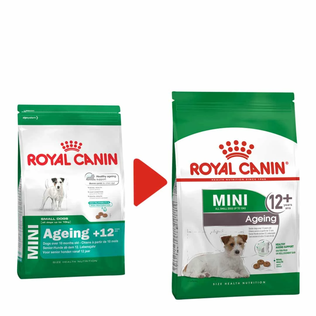 Royal Canin Mini Senior Ageing 12+ 1.5kg 2 Royal Canin Mini Senior Ageing 12+ 1.5kg - Image 2