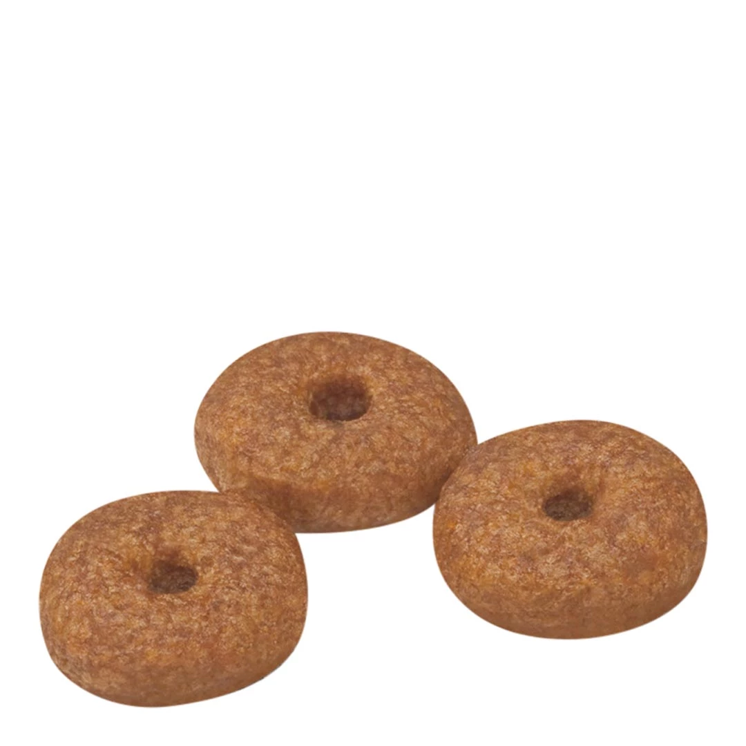 Royal Canin Mini Senior Ageing 12+ 1.5kg 5 Royal Canin Mini Senior Ageing 12+ 1.5kg - Image 5