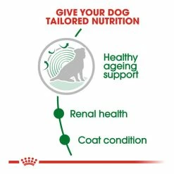 Royal Canin Mini Senior Ageing 12+ 1.5kg 10 Royal Canin Mini Senior Ageing 12+ 1.5kg -Dog Food shop royal canin dog ageing dry food kibbles special diet