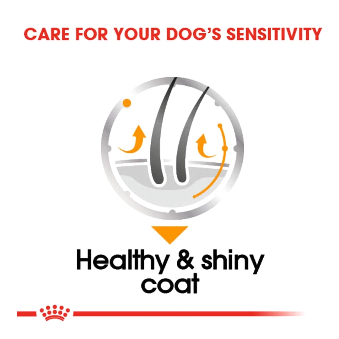 Royal Canin Coat Care Wet Pouches 12x85g 2 Royal Canin Coat Care Wet Pouches 12x85g - Image 2