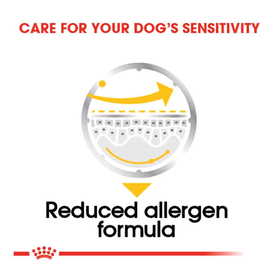 Royal Canin Dermacomfort Care Wet Pouches 12x85g 2 Royal Canin Dermacomfort Care Wet Pouches 12x85g - Image 2