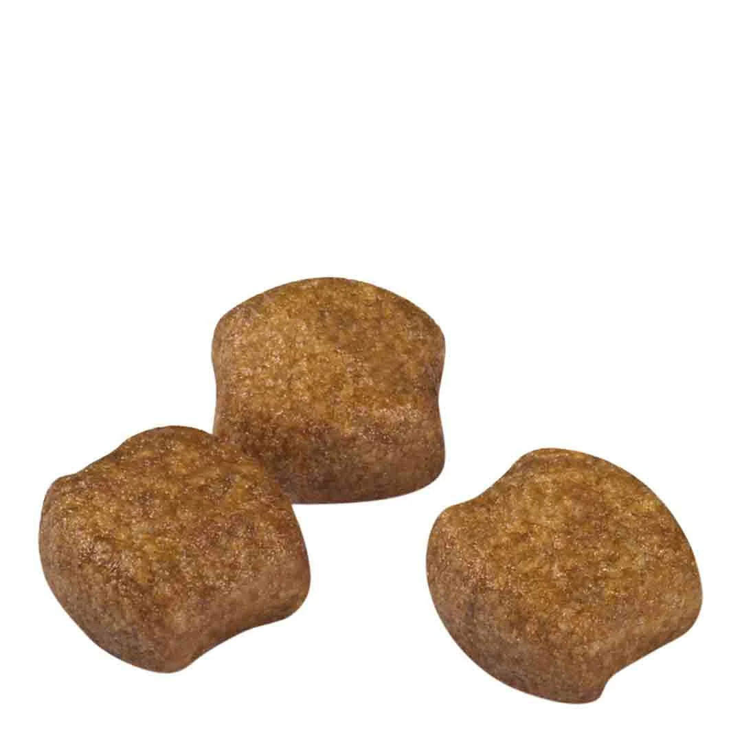 Royal Canin Medium Dental Care Adult Dry Dog Food 3kg 5 Royal Canin Medium Dental Care Adult Dry Dog Food 3kg - Image 5