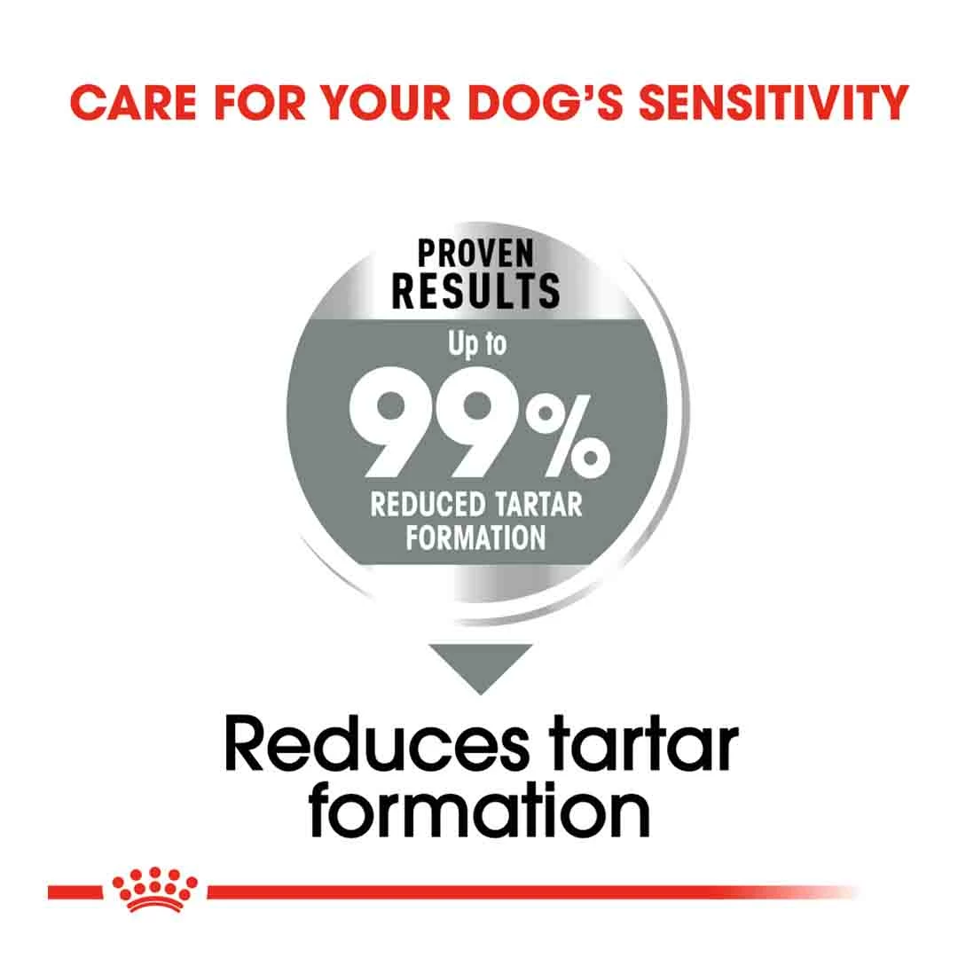 Royal Canin Medium Dental Care Adult Dry Dog Food 3kg 2 Royal Canin Medium Dental Care Adult Dry Dog Food 3kg - Image 2