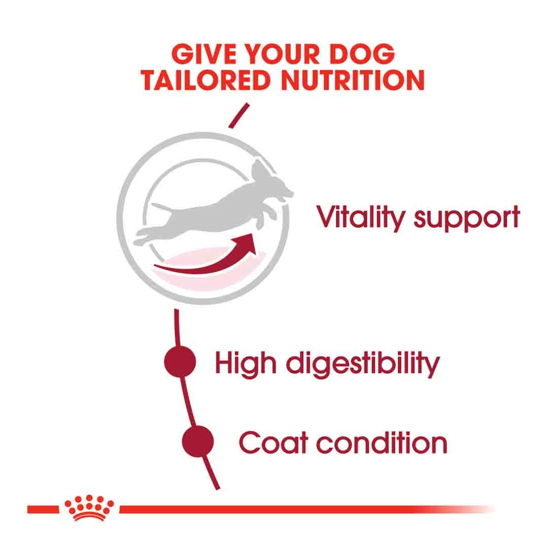 Royal Canin Medium Adult 7+ 15kg 3 Royal Canin Medium Adult 7+ 15kg - Image 3