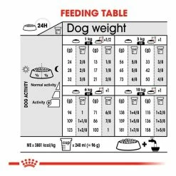 Royal Canin Mini Coat Care Adult Dry Dog Food 3kg -Dog Food shop royal canin dog mini coat 20care nutrients kibbles feeding guide