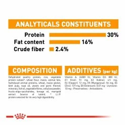 Royal Canin Mini Coat Care Adult Dry Dog Food 3kg -Dog Food shop royal canin dog mini coat 20care nutrients kibbles ingredients nutrients nutrition