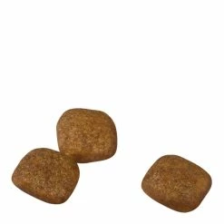 Royal Canin Mini Coat Care Adult Dry Dog Food 3kg -Dog Food shop royal canin dog mini coat 20care nutrients kibbles kibbles size