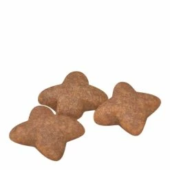 Royal Canin Mini Adult 8kg -Dog Food shop royal canin dog mini dry food kibbles size 1