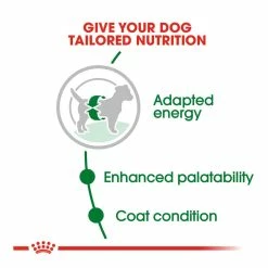 Royal Canin Mini Adult 2kg -Dog Food shop royal canin dog mini dry food kibbles special diet