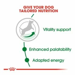 Royal Canin Mini Adult 8+ 2kg -Dog Food shop royal canin dog mini dry food kibbles special diet 2