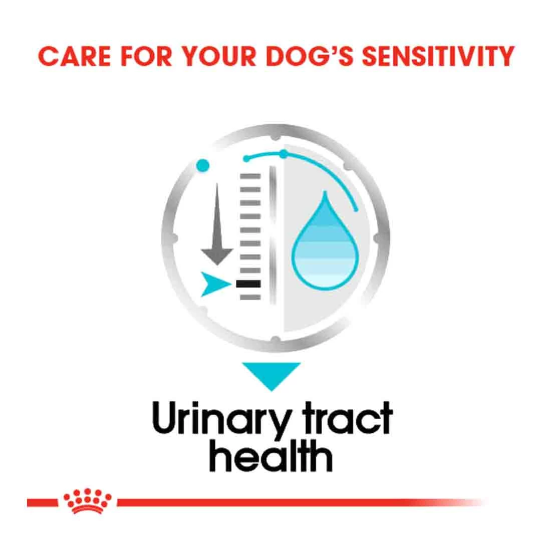 Royal Canin Urinary Care Wet Pouches Adult Small Breed Dog Food 12x85g 2 Royal Canin Urinary Care Wet Pouches Adult Small Breed Dog Food 12x85g - Image 2