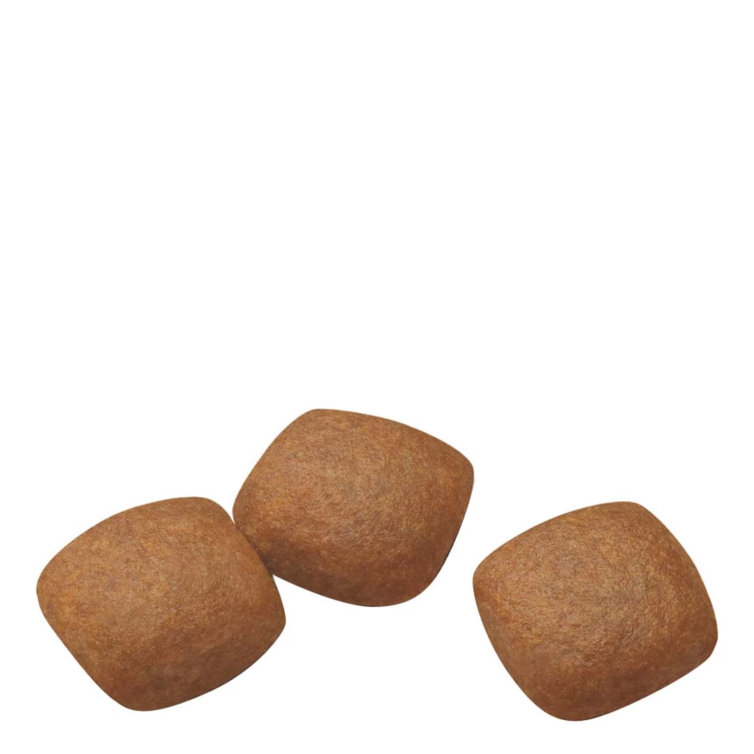 Royal Canin Maxi Breed Joint Care Dog Food 3kg 4 Royal Canin Maxi Breed Joint Care Dog Food 3kg - Image 4