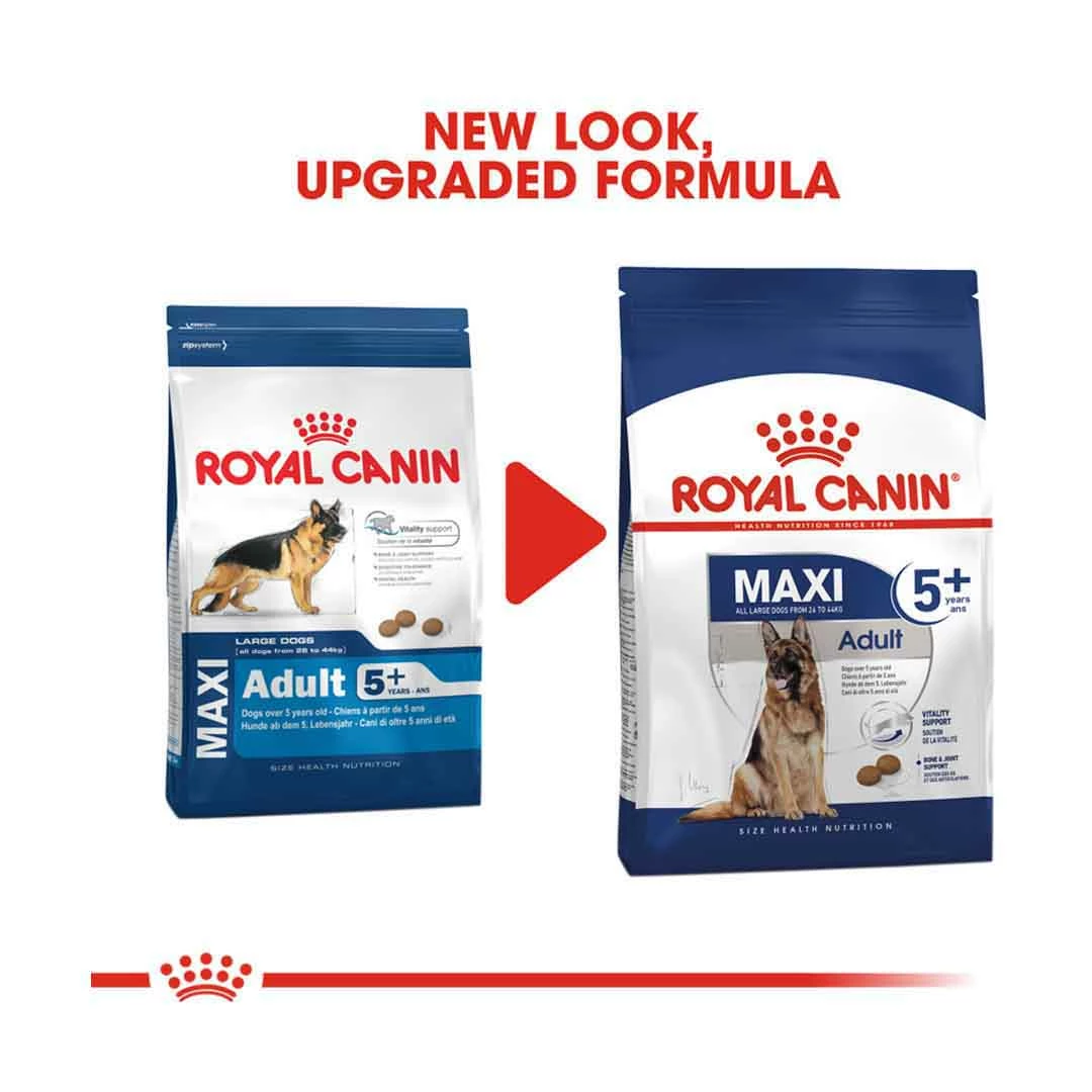 Royal Canin Maxi Adult 5+ 4kg 2 Royal Canin Maxi Adult 5+ 4kg - Image 2