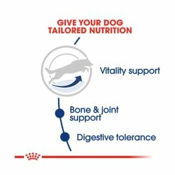 Royal Canin Maxi Adult 5+ 4kg 8 Royal Canin Maxi Adult 5+ 4kg -Dog Food shop royal canin maxi adult dry food kibbles special diet 1