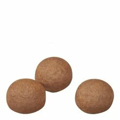 Royal Canin Maxi Digestive Care Adult Dry Dog Food 10kg -Dog Food shop royal canin maxi digestive care kibble kibble