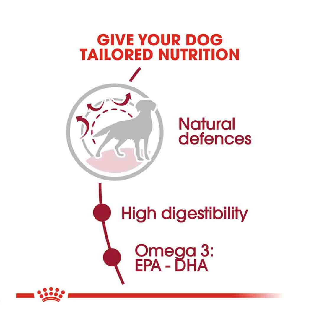 Royal Canin Medium Adult 4kg 3 Royal Canin Medium Adult 4kg - Image 3