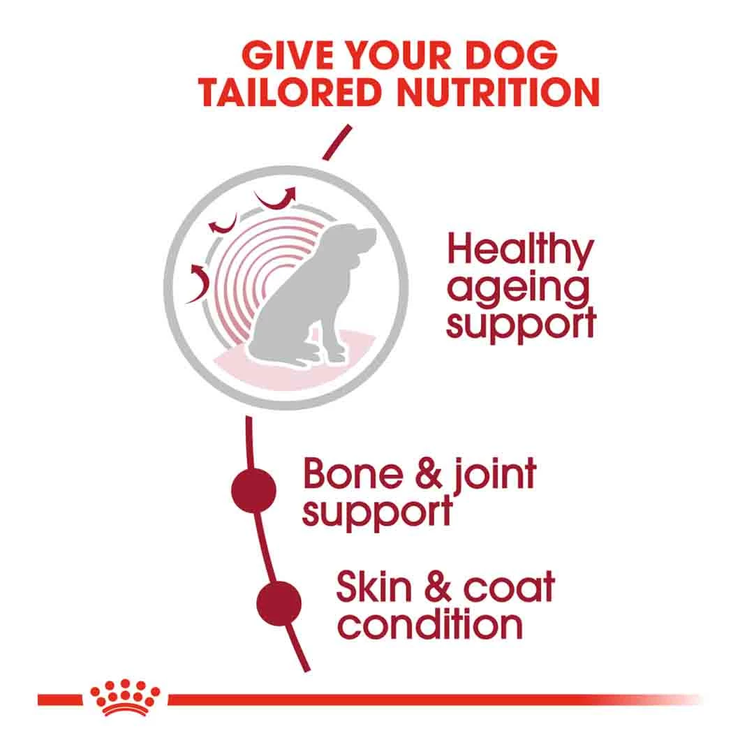 Royal Canin Medium Ageing 10+ 15kg 4 Royal Canin Medium Ageing 10+ 15kg - Image 4