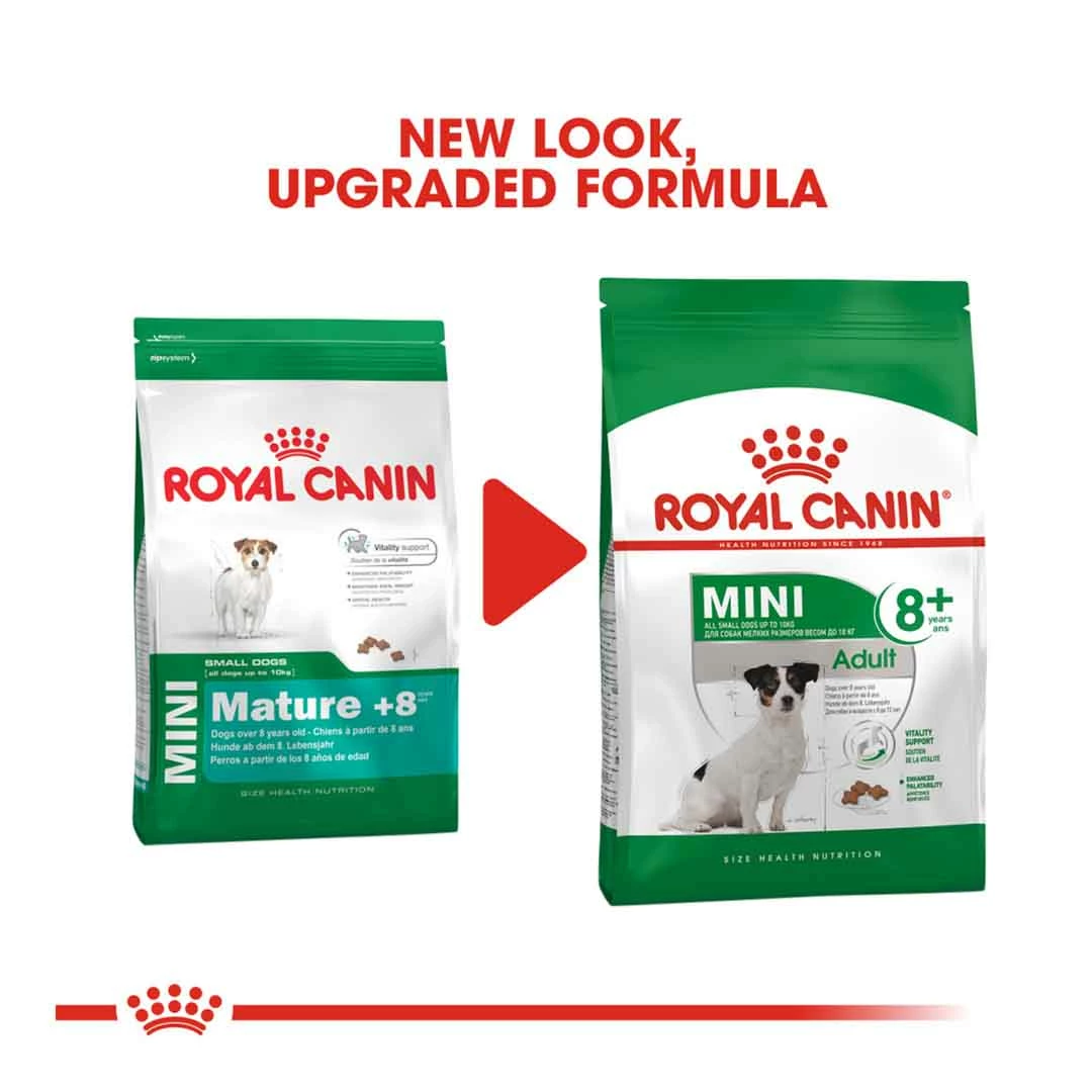 Royal Canin Mini Ageing 12+ 8kg 2 Royal Canin Mini Ageing 12+ 8kg - Image 2