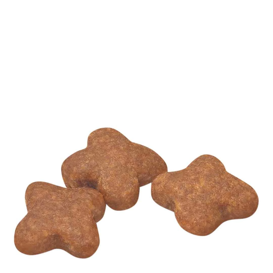 Royal Canin Mini Ageing 12+ 8kg 4 Royal Canin Mini Ageing 12+ 8kg - Image 4