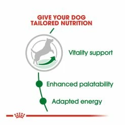 Royal Canin Mini Ageing 12+ 8kg 8 Royal Canin Mini Ageing 12+ 8kg -Dog Food shop royal canin mini adult dry food kibbles special diet