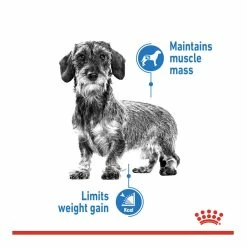Royal Canin Mini Light Weight Care Adult Dry Dog Food 3kg 8 Royal Canin Mini Light Weight Care Adult Dry Dog Food 3kg -Dog Food shop royal canin mini dog light weight care nutrients dry food special diet