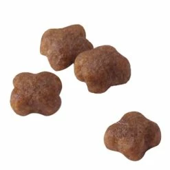 Royal Canin Mother & Babycat 2kg -Dog Food shop royal canin mother baby cat dry food kibbles size 1