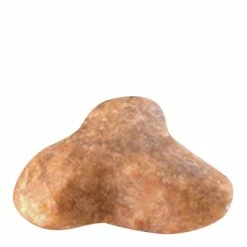 Royal Canin Pug Adult 1.5kg -Dog Food shop royal canin pug carlin mops carlino dry food kibbles size