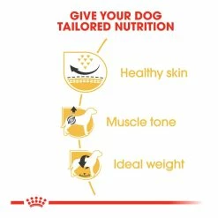 Royal Canin Pug Adult 1.5kg -Dog Food shop royal canin pug carlin mops carlino dry food kibbles special diet