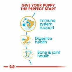 Royal Canin Bulldog Junior 12kg -Dog Food shop royal canin puppy bulldog dry kibble special diet